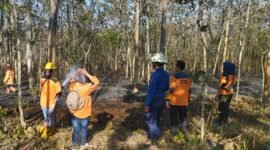 Kebakaran hutan dan lahan (karhutla) terjadi di Kabupaten Sragen dan Klaten, Provinsi Jawa Tengah. (Dok. BNPB) 
