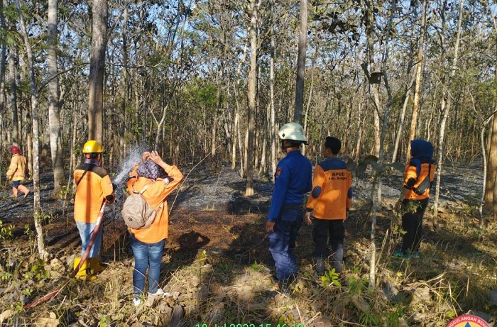 Kebakaran hutan dan lahan (karhutla) terjadi di Kabupaten Sragen dan Klaten, Provinsi Jawa Tengah. (Dok. BNPB) 