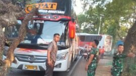 Bus antar provinsi yang tengah melintas di jalur Magetan - Ngawi, Jawa Timur, tertimpa pohon besar. (Dok. FIN) 
