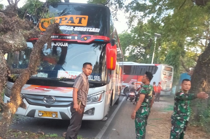 Bus antar provinsi yang tengah melintas di jalur Magetan - Ngawi, Jawa Timur, tertimpa pohon besar. (Dok. FIN) 