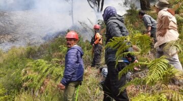 Ilustrasi kebakaran hutan dan lahan. (Dok. BNPB)