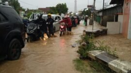 Banjir dirasakan ribuan warga Tegal sehingga mereka mengungsi sementara waktu. (Dok. BPBD Kebupaten Tegal)