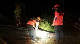 Banjir dan tanah longsor melanda wilayah Kabupaten Cilacap, Jawa Tengah. (Dok. BNPB)