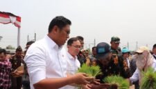 Wakil Menteri Pertanian (Wamentan) Sudaryono di Kecamatan Wonosari, Kabupaten Klaten. (Dok. Kementan)