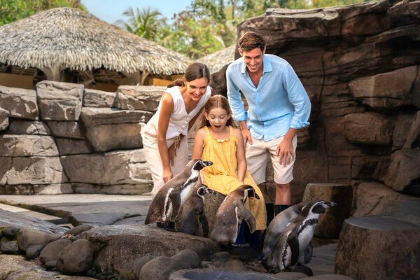 Bali Magical Adventure – Marine Safari Bali Brings a New Wave of Ocean Discovery to Southeast Asia