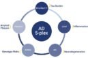 NULISAqpcr AD 5-plex Assay includes BD-pTau217, GFAP, NfL, AB42 and APOE4.